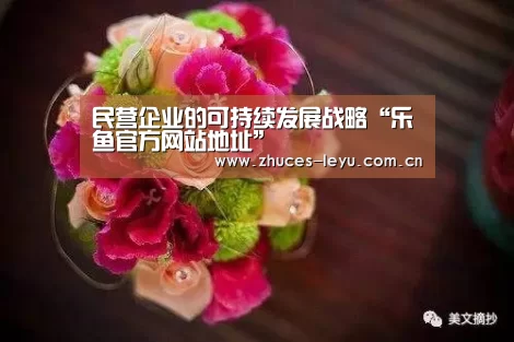 乐鱼极致竞技体验