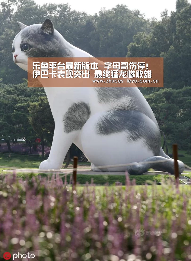 乐鱼极致竞技体验