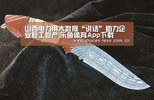 山西电力用大数据“说话”助力企业复工复产|乐鱼体育App下载(图1) 乐鱼平台最新版本