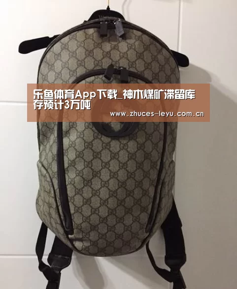 乐鱼体育App下载_神木煤矿滞留库存预计3万吨(图2) 乐鱼体育App下载