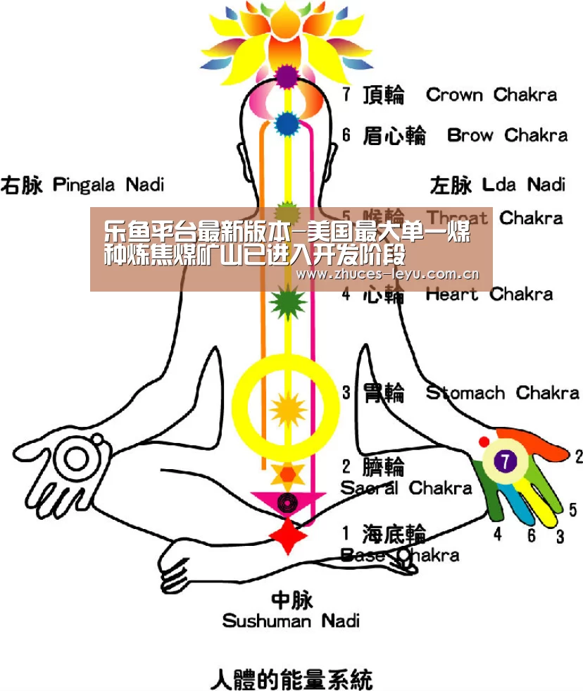 乐鱼平台最新版本-美国最大单一煤种炼焦煤矿山已进入开发阶段(图1) 乐鱼极致竞技体验