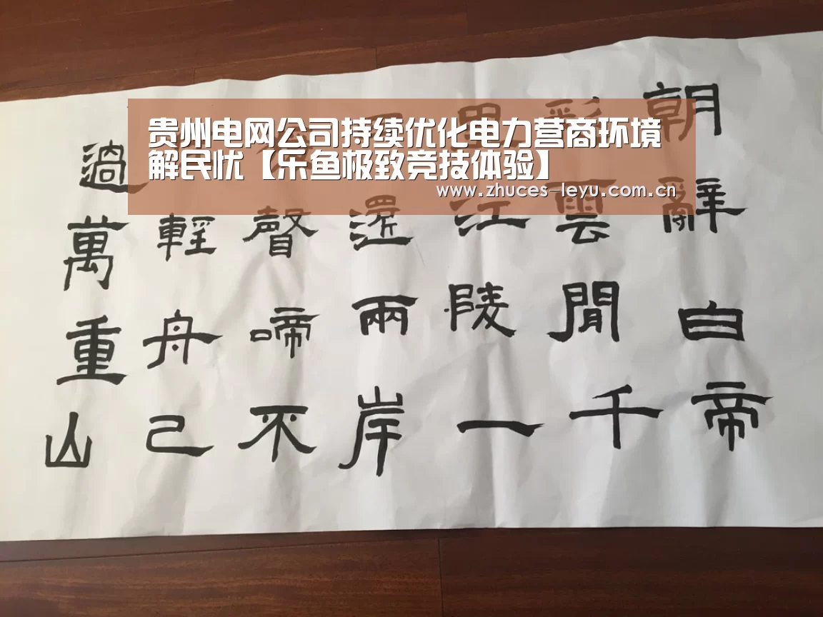 贵州电网公司持续优化电力营商环境解民忧【乐鱼极致竞技体验】(图1) 乐鱼极致竞技体验