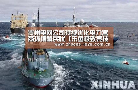 贵州电网公司持续优化电力营商环境解民忧【乐鱼极致竞技体验】(图4) 乐鱼官方网站地址