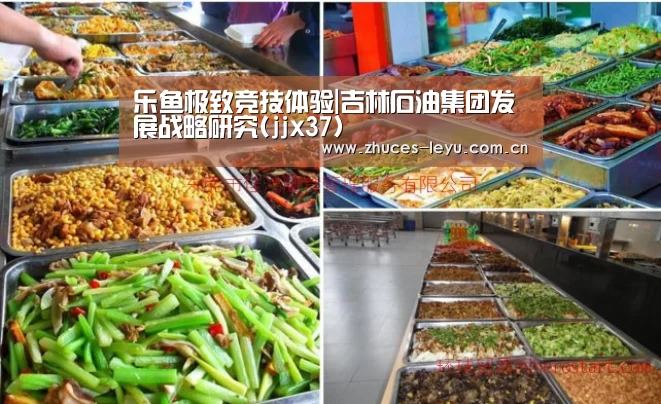乐鱼极致竞技体验|吉林石油集团发展战略研究(jjx37)(图2) 乐鱼体育App下载